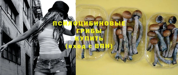 стаф Иннополис